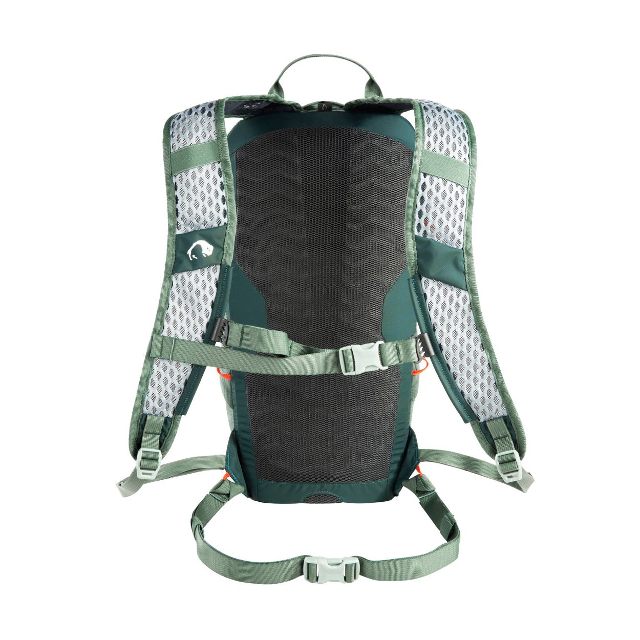 Active Pack 10, sage green