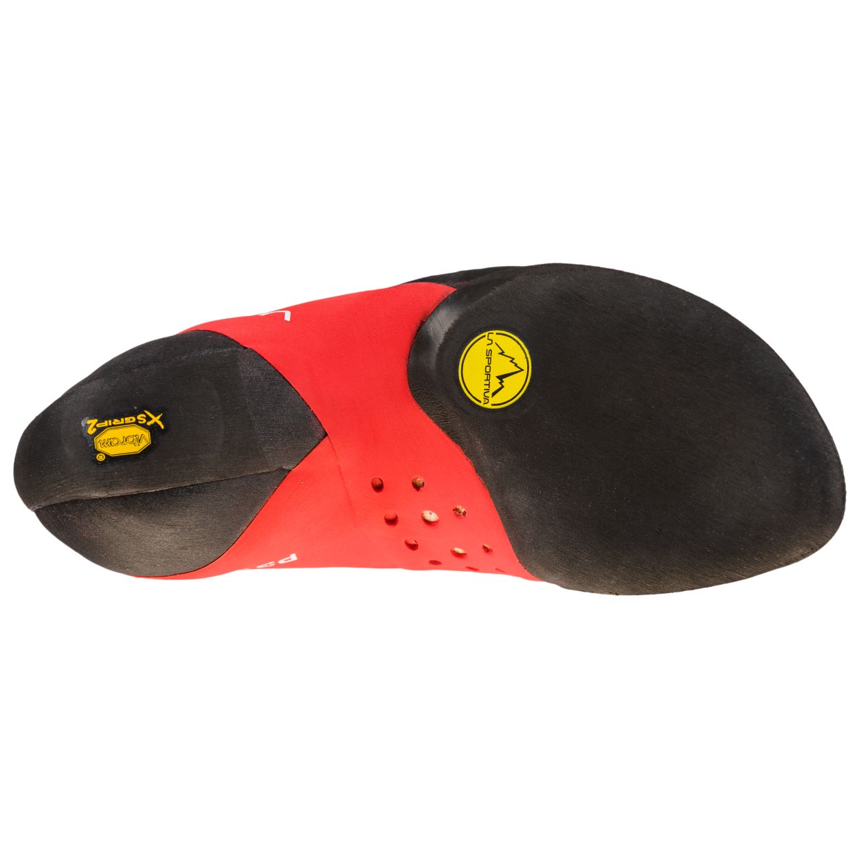 Solution Comp Women, hibiscus/malibu blue