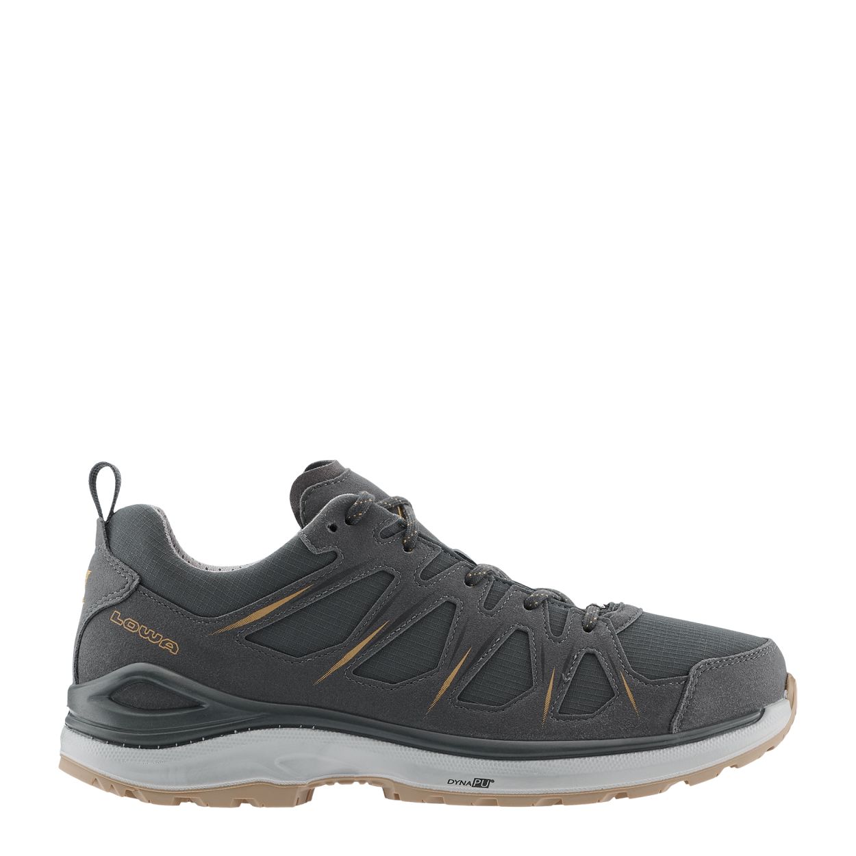 Innox Evo II GTX Lo, anthrazit/bronze