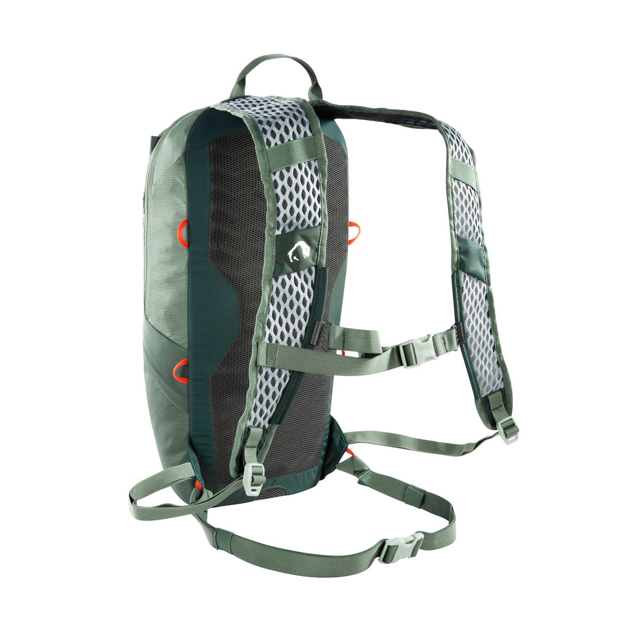 Active Pack 10, sage green