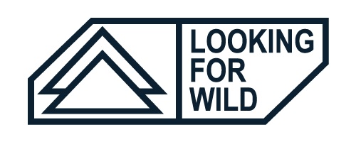 LOOKING FOR WILD