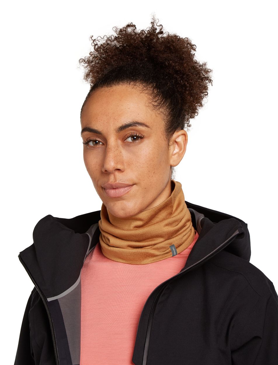 260 Tech Chute, trail